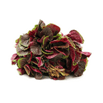 Amaranthus