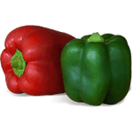 Capsicum
