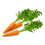 Carrot