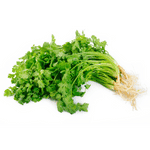 Coriander leaves