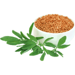 Fenugreek Leaf