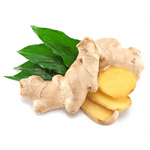 Ginger