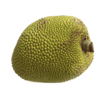 Jackfruit