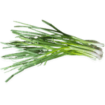 Onion leaf