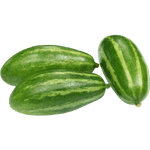 Pointed Gourd