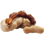 Tamarind