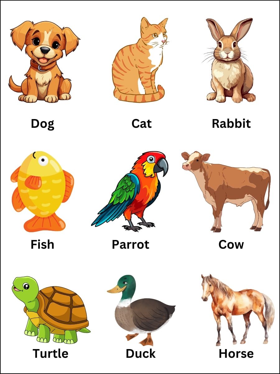 pet animals names