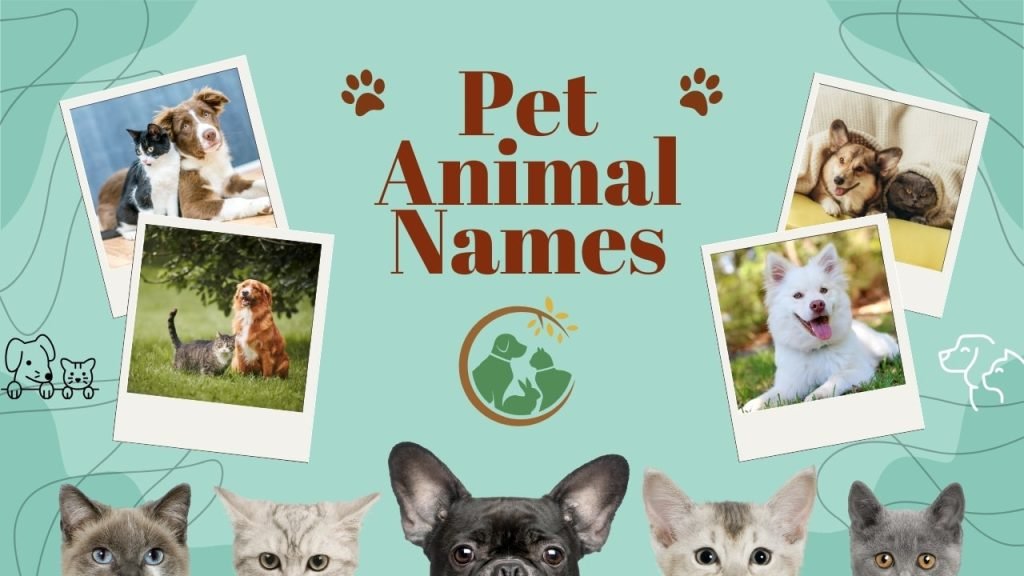 pet animals name