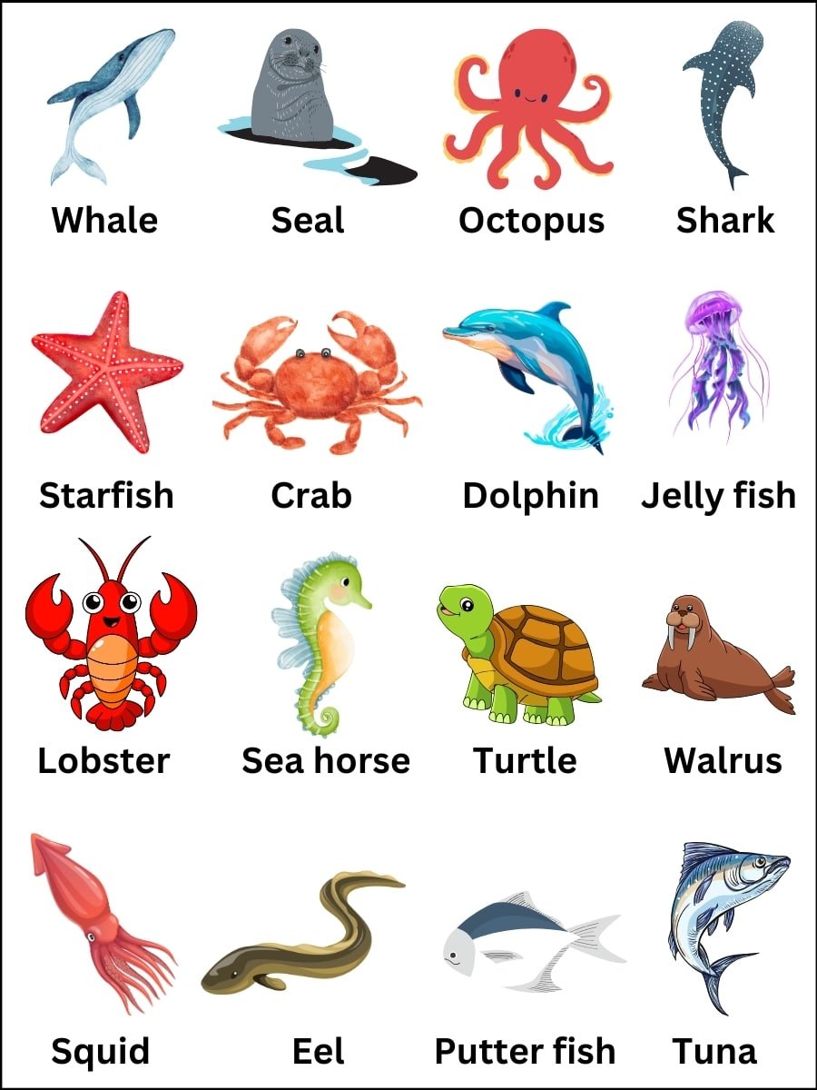 water animals name
